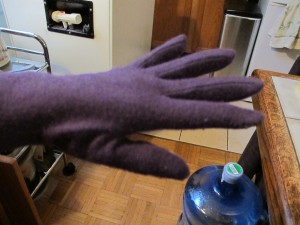 Gloves on display